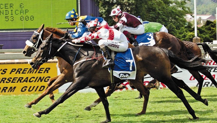 Get the Latest Horse Racing Results Today! 2